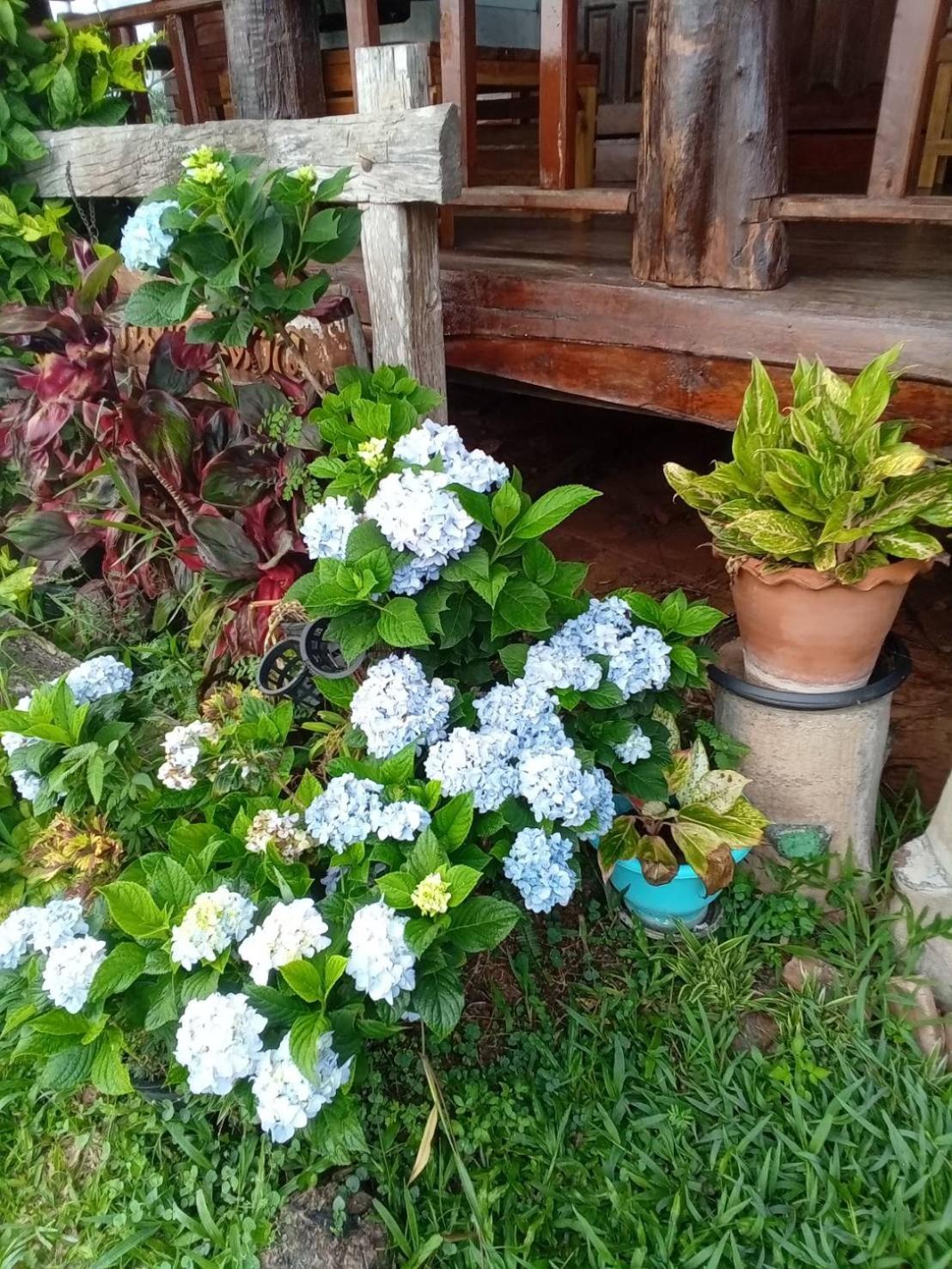 Phu Aram Khao Kho Resort Экстерьер фото