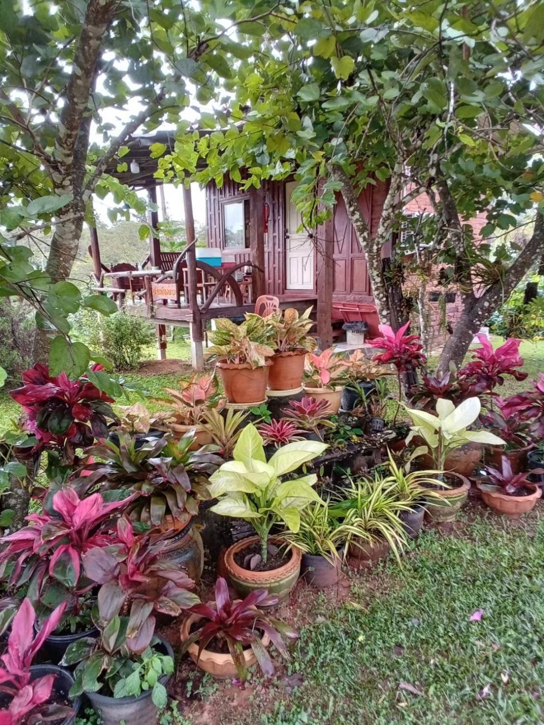 Phu Aram Khao Kho Resort Экстерьер фото